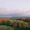 Cellardoor Winery Portland