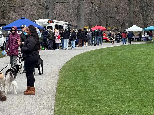 Spring Dog Festival!