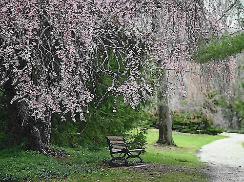 Grounds Tours
