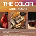 Natural Dye Workshop