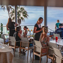 Chef's Dinner: The Study of Citrus | The Kitchen at MCASD