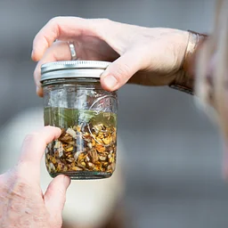Winter Wellness Herbal Preparations