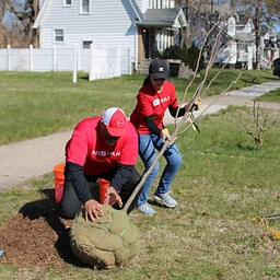 Detroit Community Tree Planting