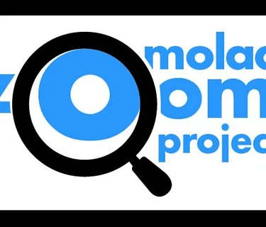 MOLAA Zoom Project – Antonio Romero (El Salvador, 1978) - LIVE in Spanish