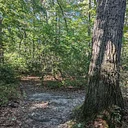 Leight Park Guided Hike