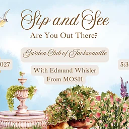 Sip and See: Are You Out There?