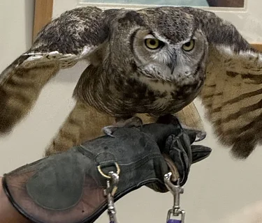 Kiwanis’ Family Fun Days: Wild at Heart