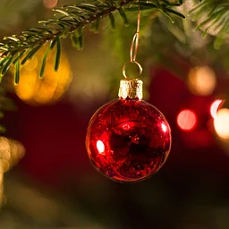 SAVE THE DATE: The 39th Annual Historic Holiday House Tour