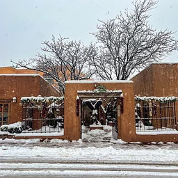 Winter Small Wonders Show