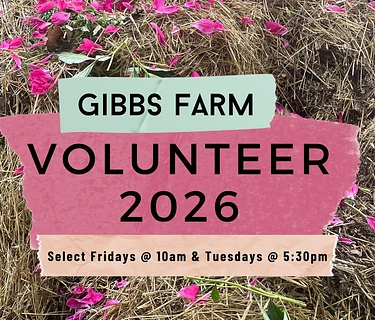 Tuesday Volunteer Days 2026