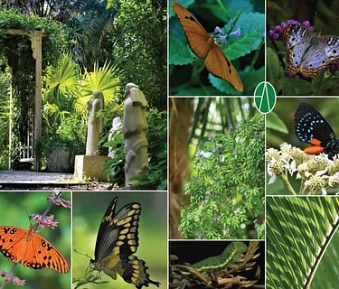 Master Gardener Tour with CJ McCartney