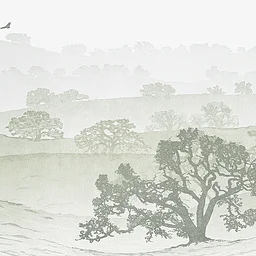 Sneak Peek of Birds in Art