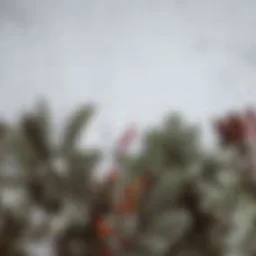 Holiday Sing-Along