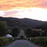 Amista Vineyards