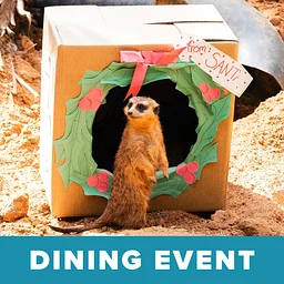 Dining Event: Holly Jolly Brunch