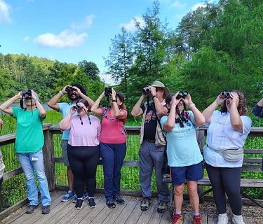 Birding for Beginners