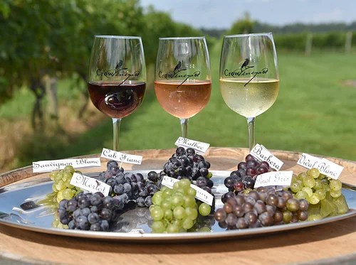 Seminar 4: Grapes to Glass