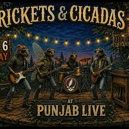 Crickets & Cicadas ~ Grateful Dead @Punjab Live Media 11/6