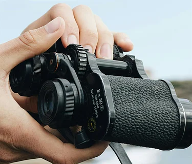 Birding by Sight & Sound