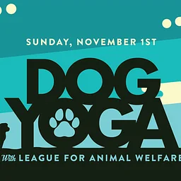 Rescue Dog Yoga