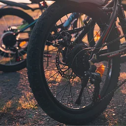 Babcock Webb WMA Guided Bike Ride