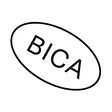 The Buffalo Institute for Contemporary Art