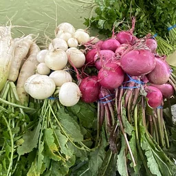2026 Indoor Edition of the Woodlawn Farmers Market