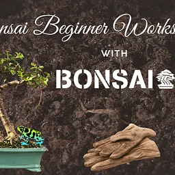 Beginner Bonsai Workshop with Bonsai Bar