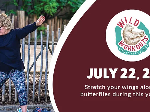 Wild Workout: Yoga (Butterfly)