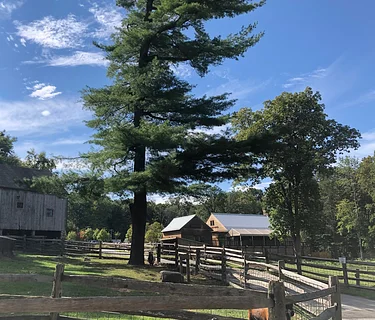 Animals for All: Heckscher Farm Open Evening