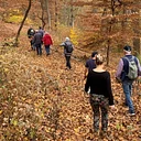 Member Exclusive: Conservation Woodlands Hike