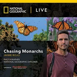 Chasing Monarchs with Jaime Rojo