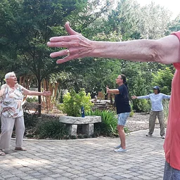 Tai Chi for Health with Micha Hensley - Wednesdays