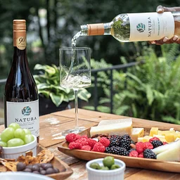 Natura Wine Tasting with Kendall