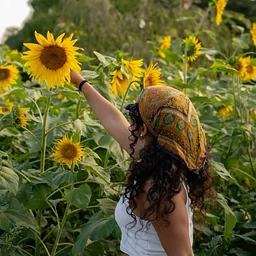 Sunflower Picking & Rosé 2026 at Great Country Farms