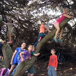 Children’s Free Week in the Museum