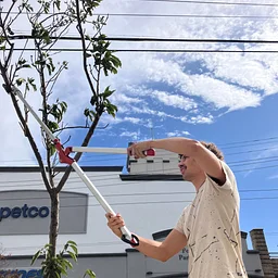 Excelsior | Community Tree Care