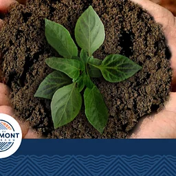 Longmont Sustainability Coalition Meeting