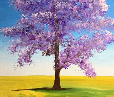 Jacaranda Tree