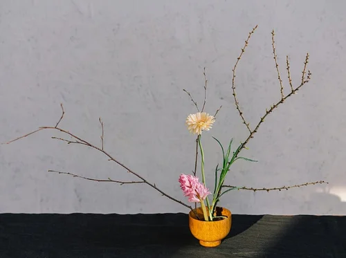 Austin Ikebana Group May Meeting