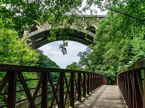 Earth Day Creek Clean-Up