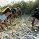 MUVE Volunteer Workday