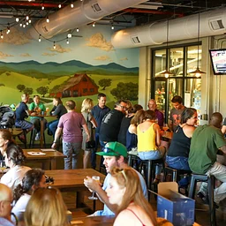 Benchtop Brewing