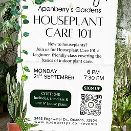 Houseplant Care 101