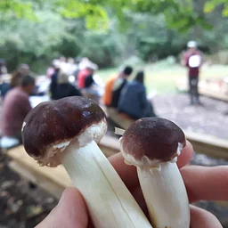 Speaker Series: Log Inoculation Workshop with Marc Amate