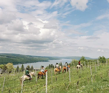 Trail Ride & Tasting