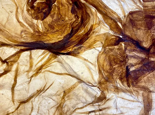 Papyrus Reimagined: Food-Based Papermaking