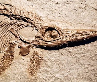 Camp Curiosity: Rock Solid Science