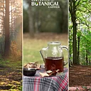 Forest Therapy Class: Forest Bathing