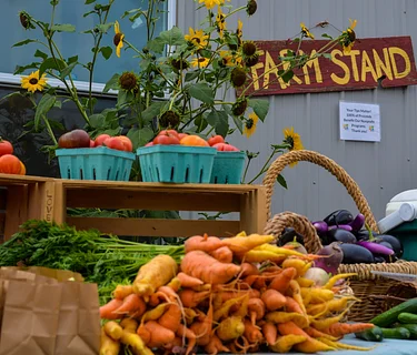 Boulder Farm Stand